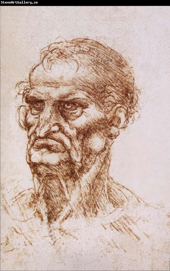 LEONARDO da Vinci Study of an old man